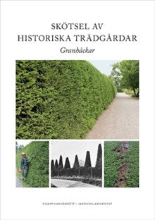 Skötsel av historiska trädgårdar - granhäckar