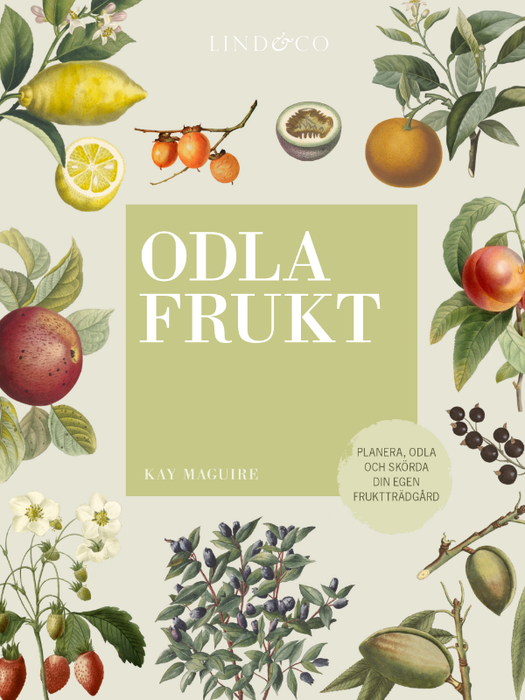 Odla frukt